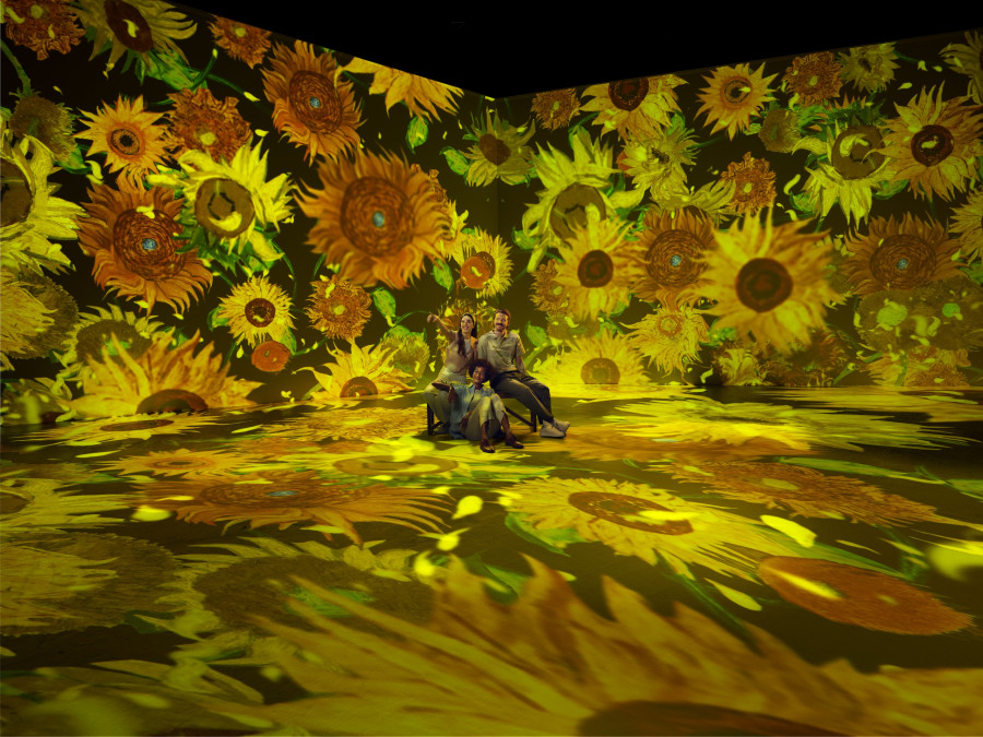 pd-vangoghexp-bench-flower-rgb-05-1.jpg