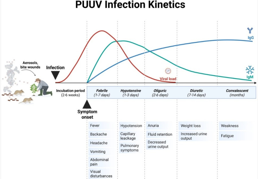 puuv.jpg