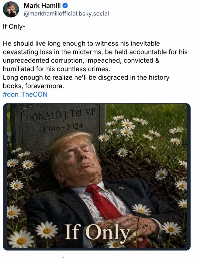 1778230263418-603067037-8.jpg
