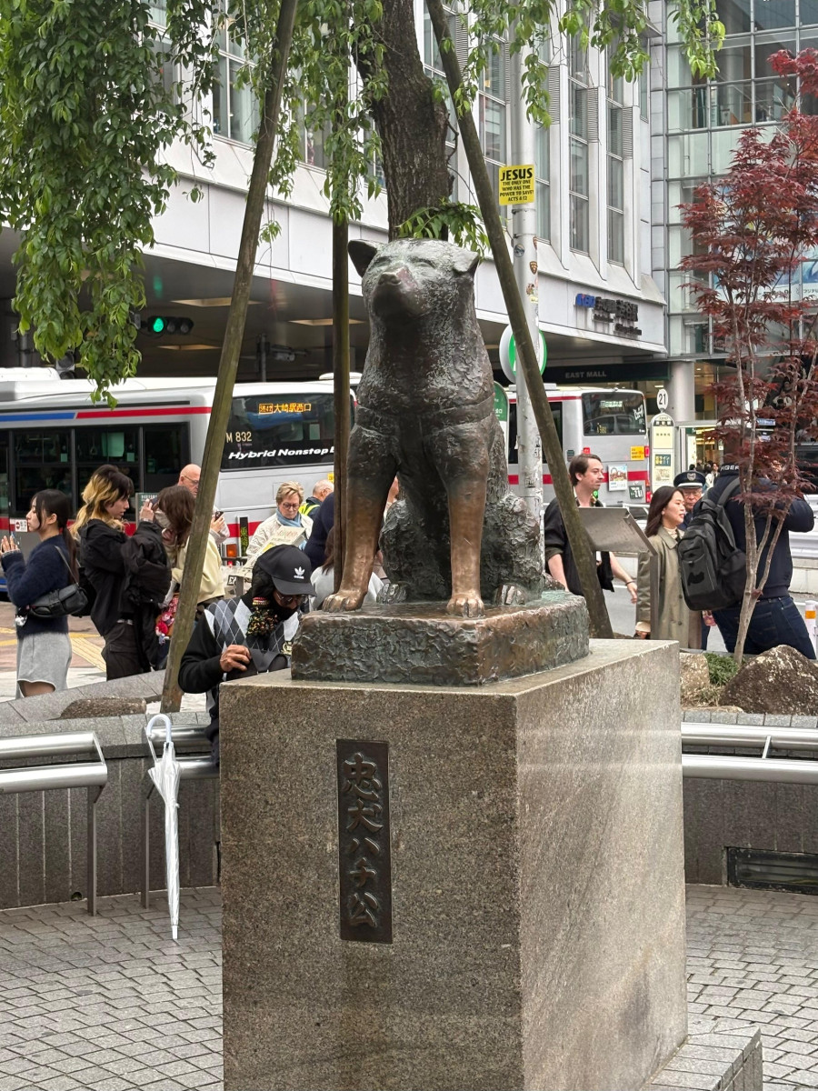 iaponia-hachiko.jpg