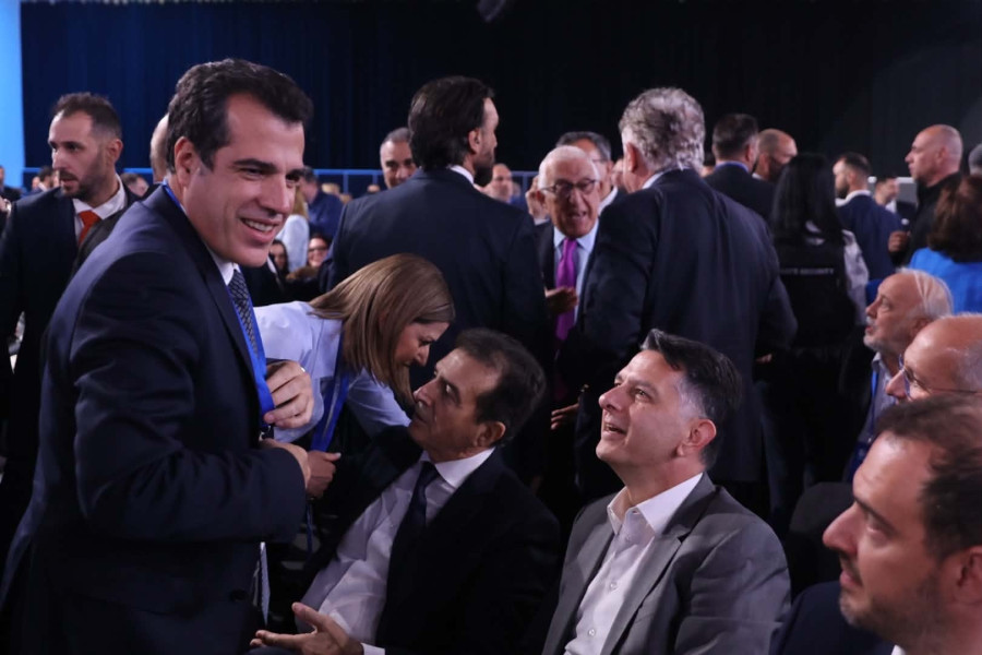 Θάνος Πλεύρης