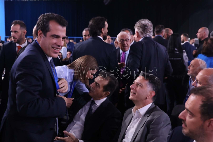 Θάνος Πλεύρης