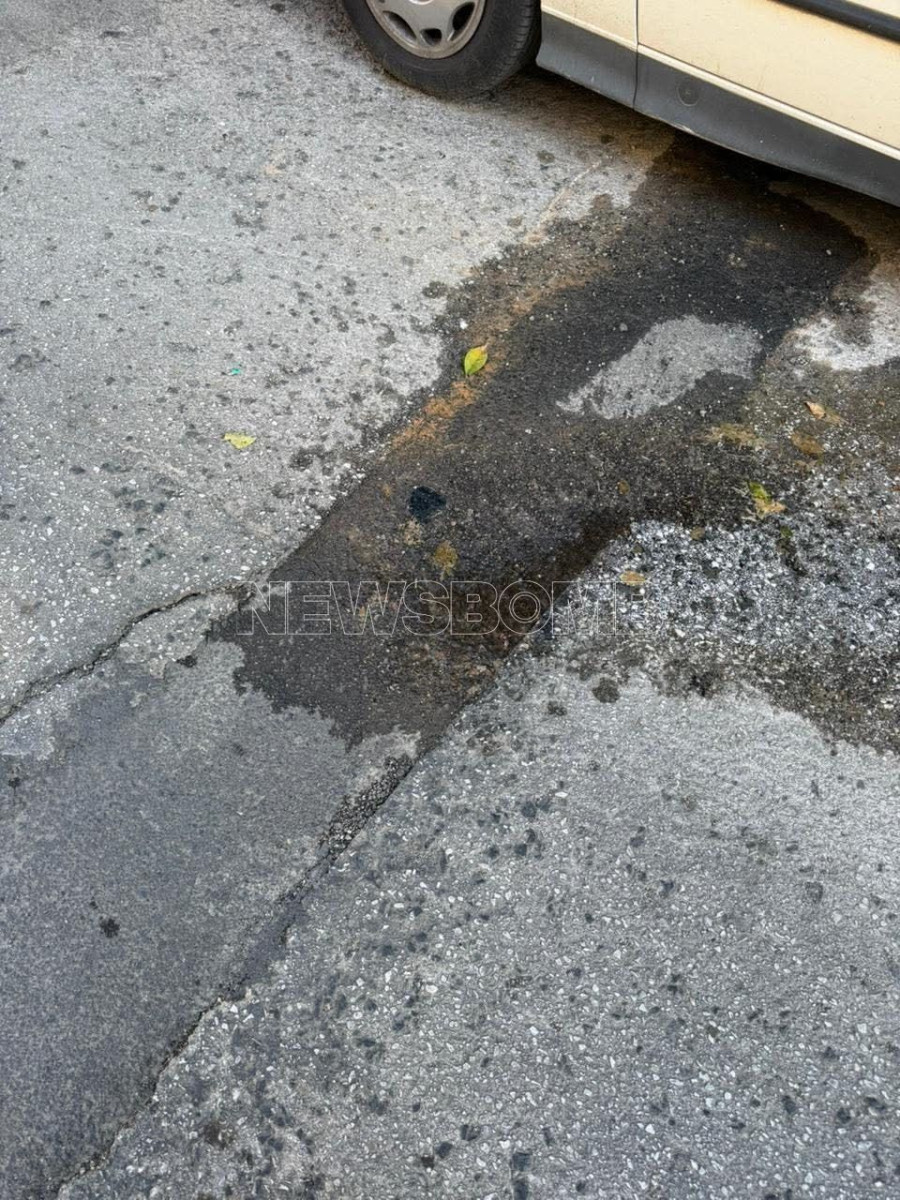 petralona2.jpg