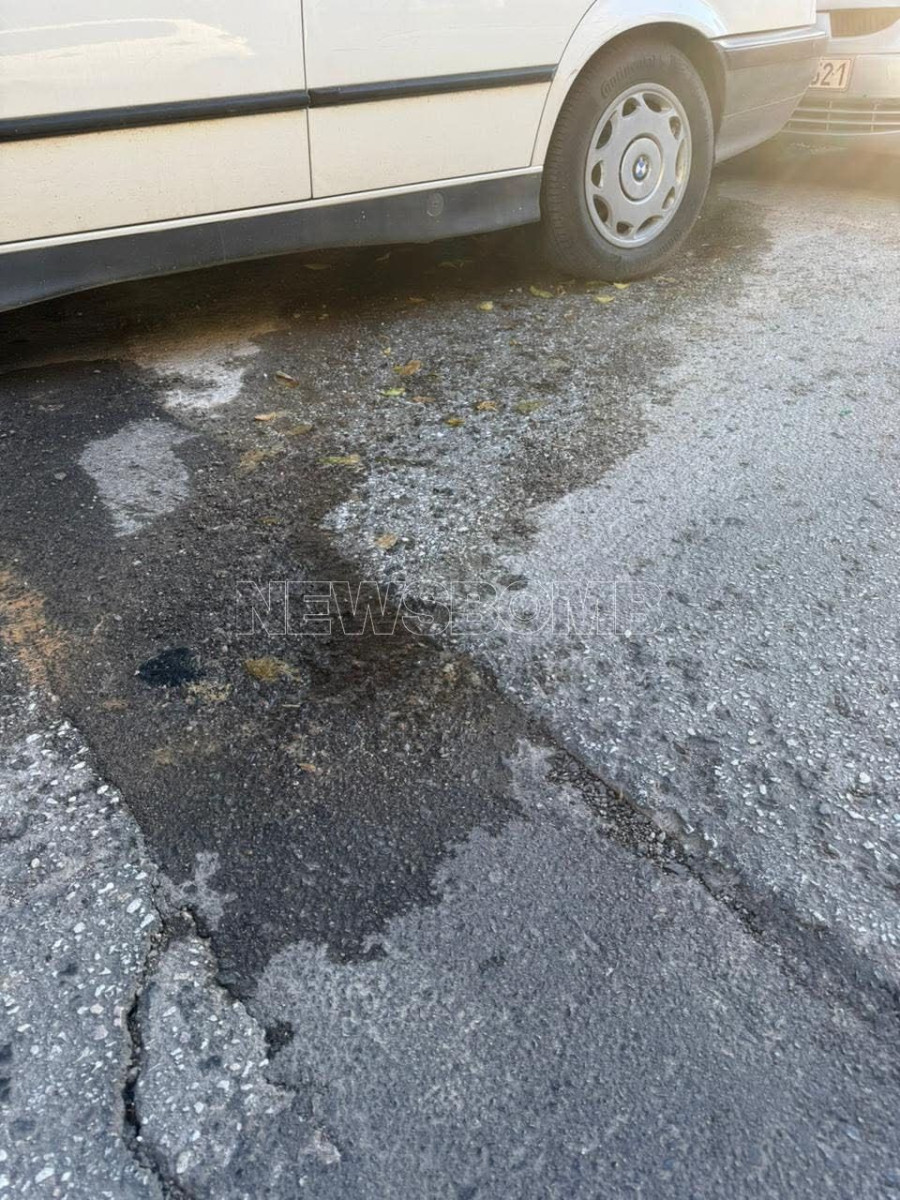 petralona3.jpg