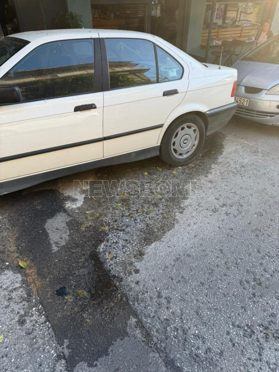 petralona1.jpg