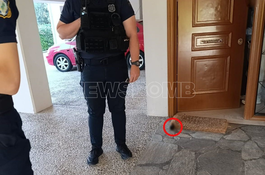 ΓΑΤΑΚΙ
