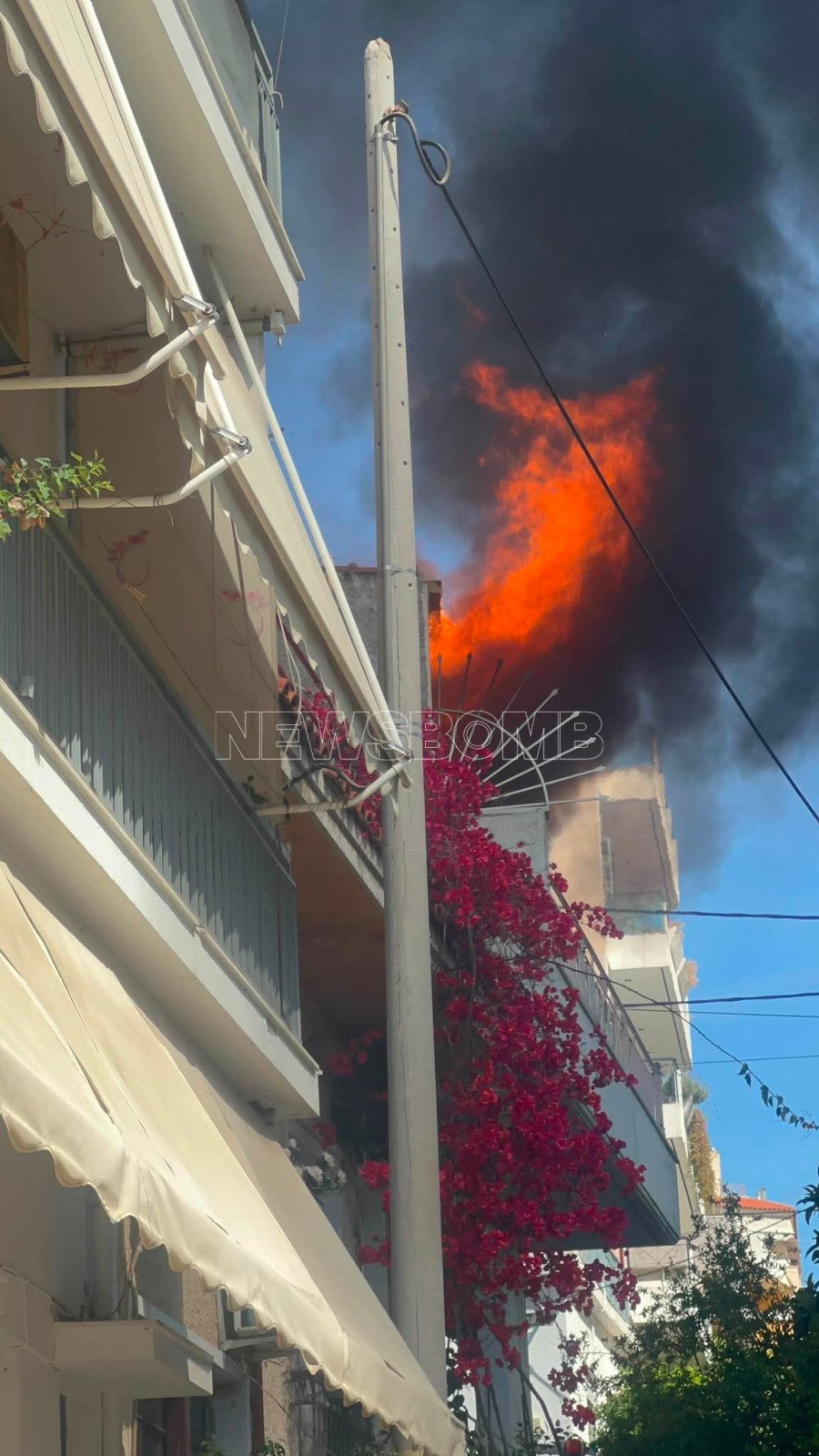 Φωτιά Κορυδαλλός