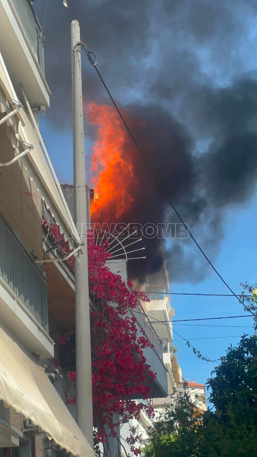 Φωτιά Κορυδαλλός