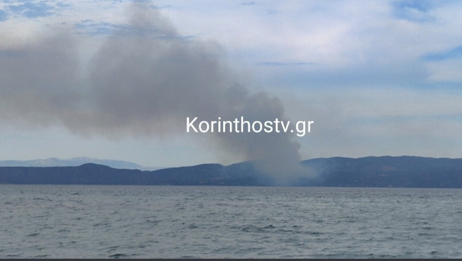 fotia-1.jpg