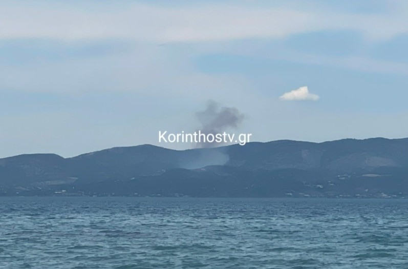 fotia-2.jpg