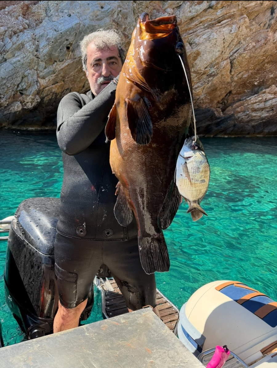 polakis4.jpg