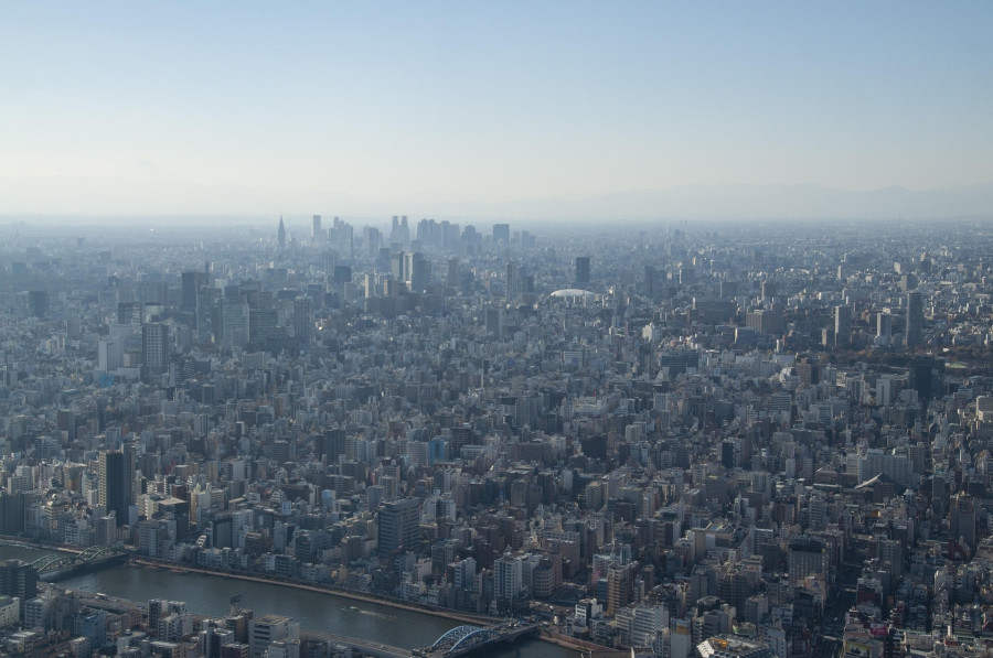 telophase-tokyo-41557821920.jpg