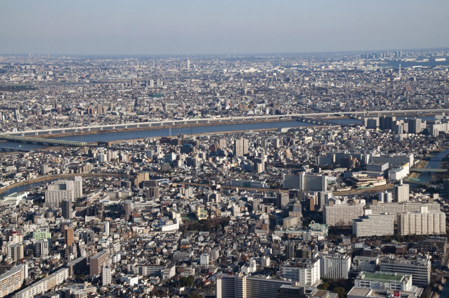 telophase-tokyo-41557891920-1.jpg