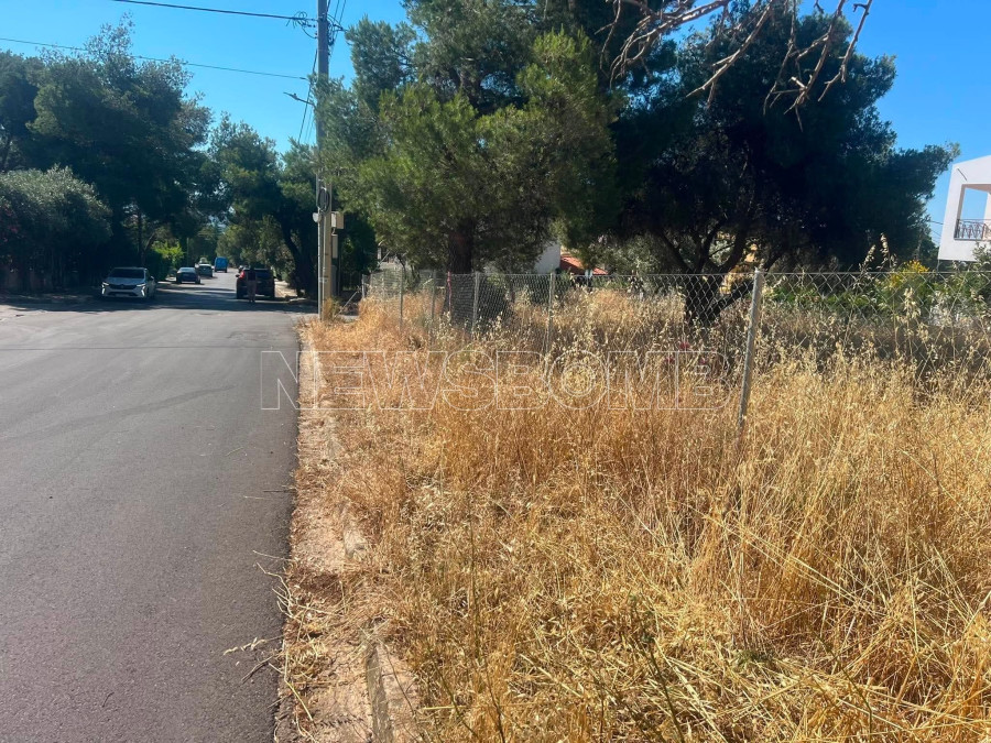 ακαθαριστα οικοπεδα