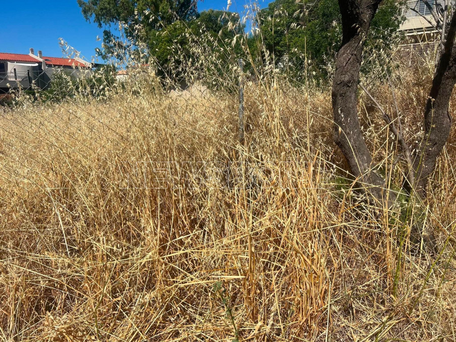 ακαθαριστα οικοπεδα