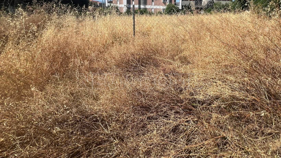 ακαθαριστα οικοπεδα