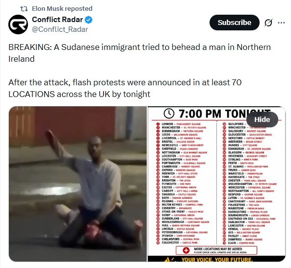 belfast-musk.jpg