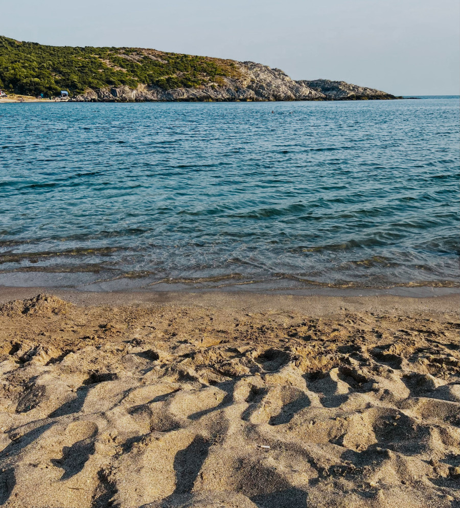 paralia