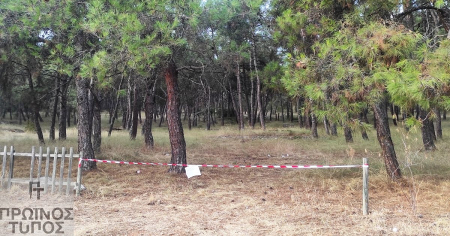 korylobo-31-1200x630.jpg