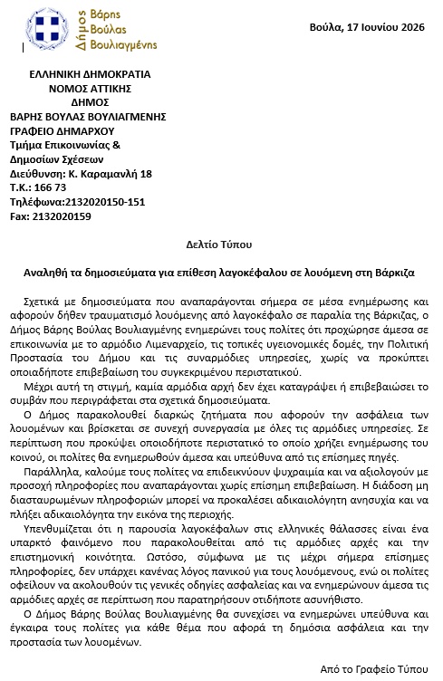 dimos-boulas.jpg