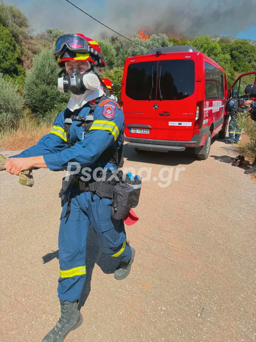 fotia1.jpg