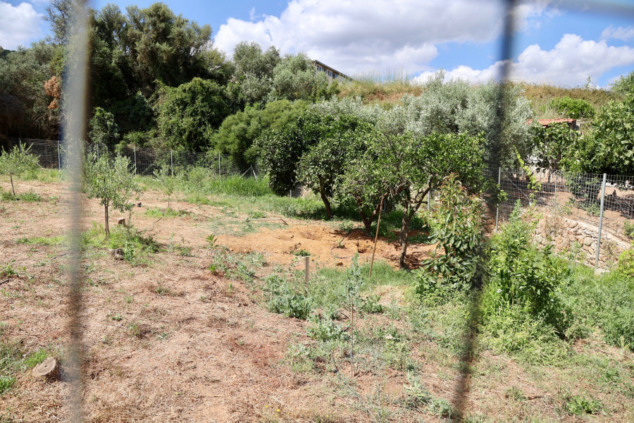ΒΡΕΘΗΚΕ Η ΣΩΡΟΣ ΤΗΣ ΕΞΑΦΑΝΙΣΜΕΝΗΣ ΣΤΑΥΡΟΥΛΑΣ ΛΕΒΕΝΤΑΚΗ ΘΑΜΜΕΝΗ ΣΕ ΧΩΡΑΦΙ ΣΤΑ ΧΑΝΙΑ