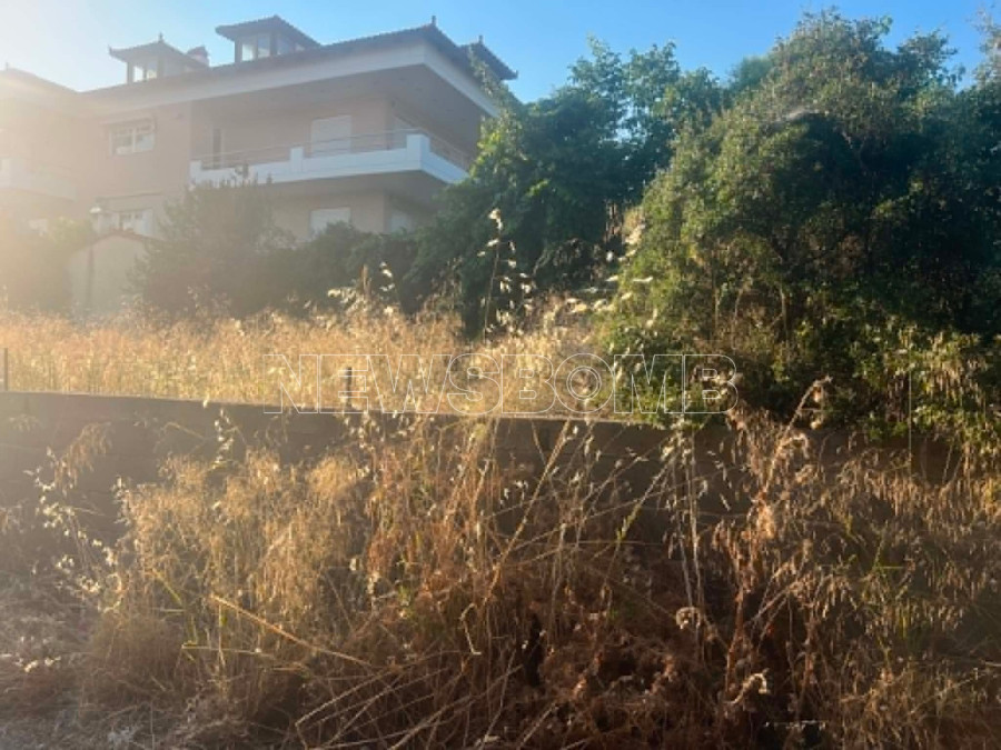 Θρακομακεδόνες 