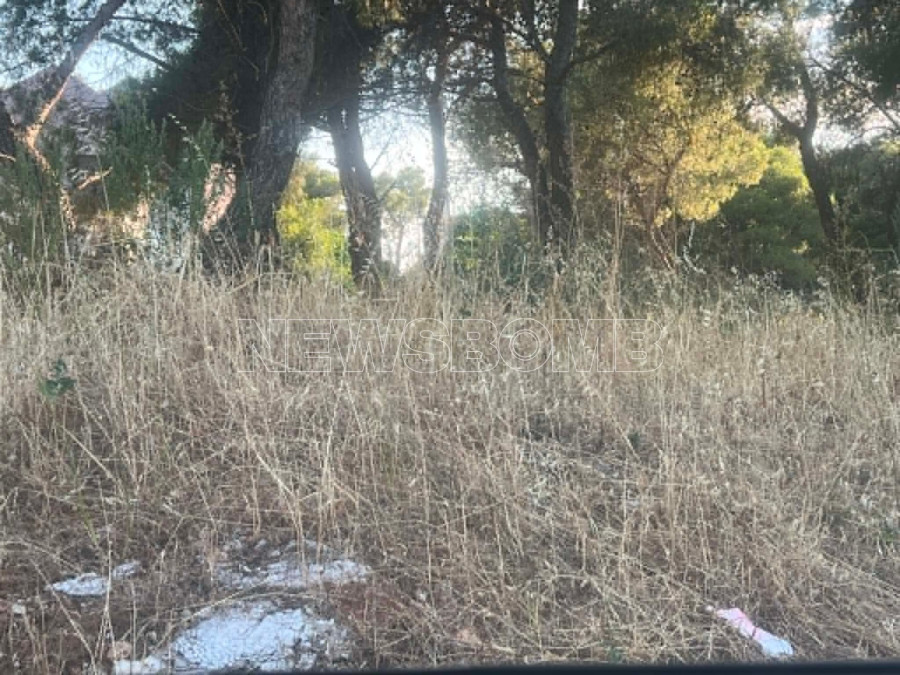 θρακομακεδόνες 