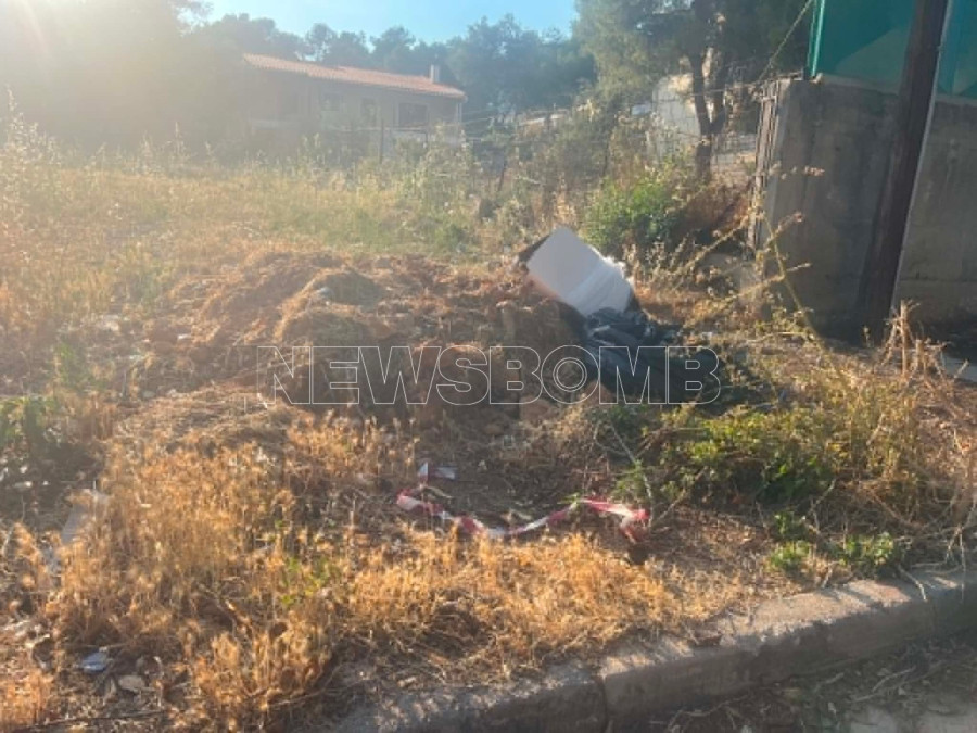 Θρακομακεδόνες 