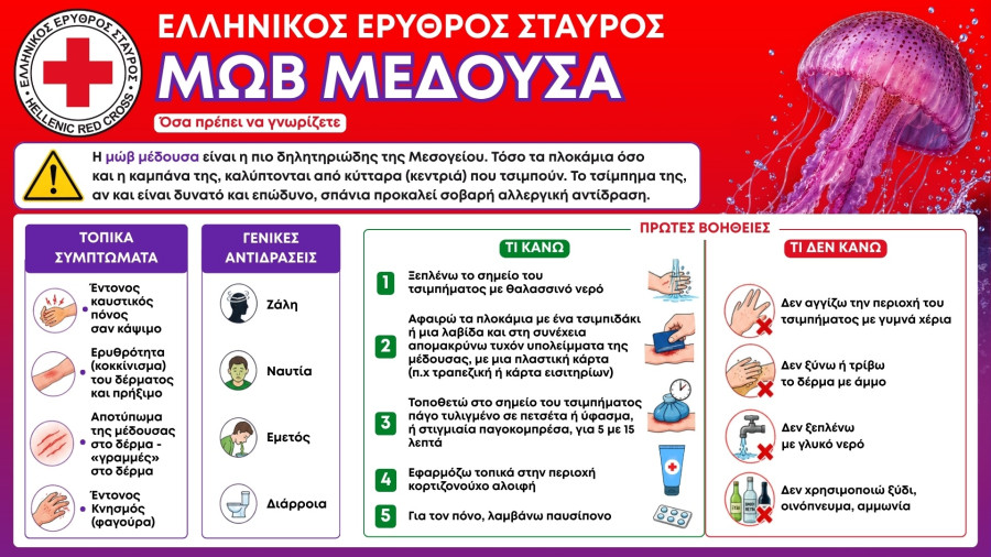 mwb-medoyses.jpg