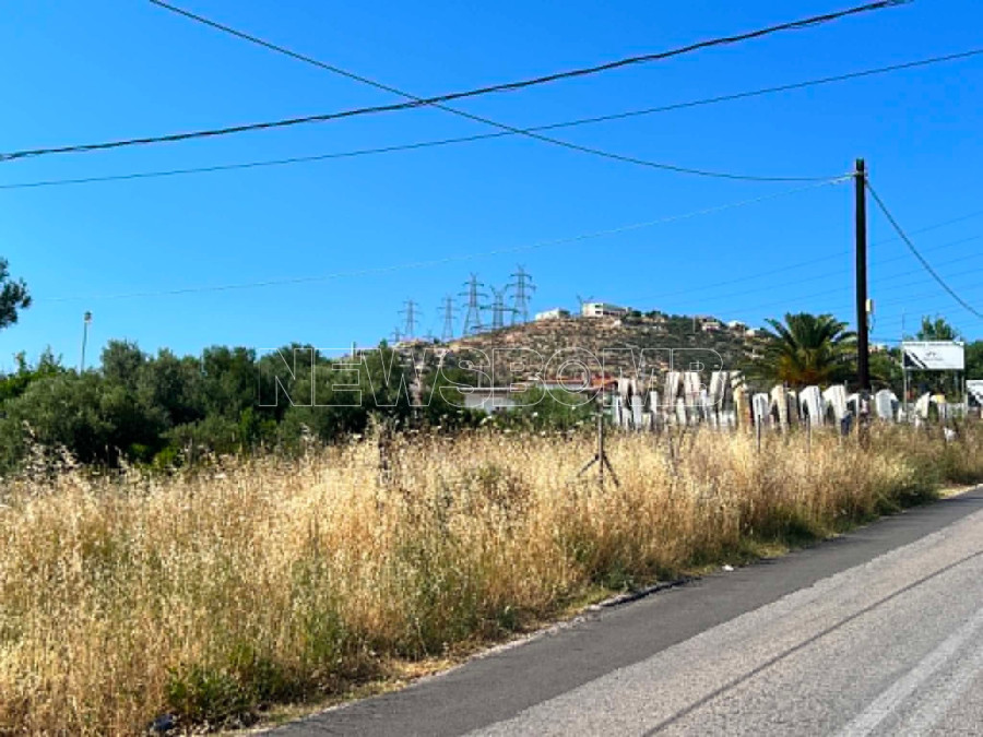 Παλληνη