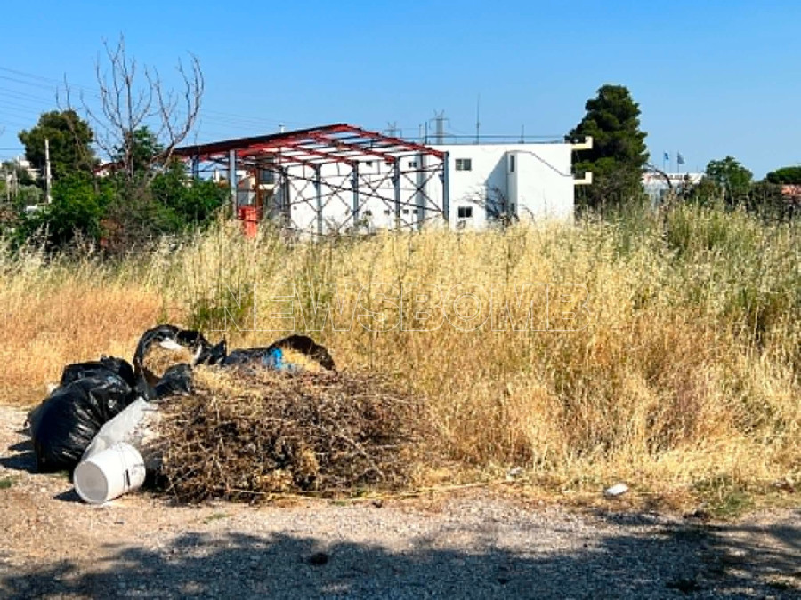 χορτα 