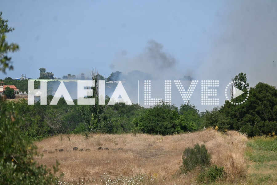 fotia-varda4.jpg