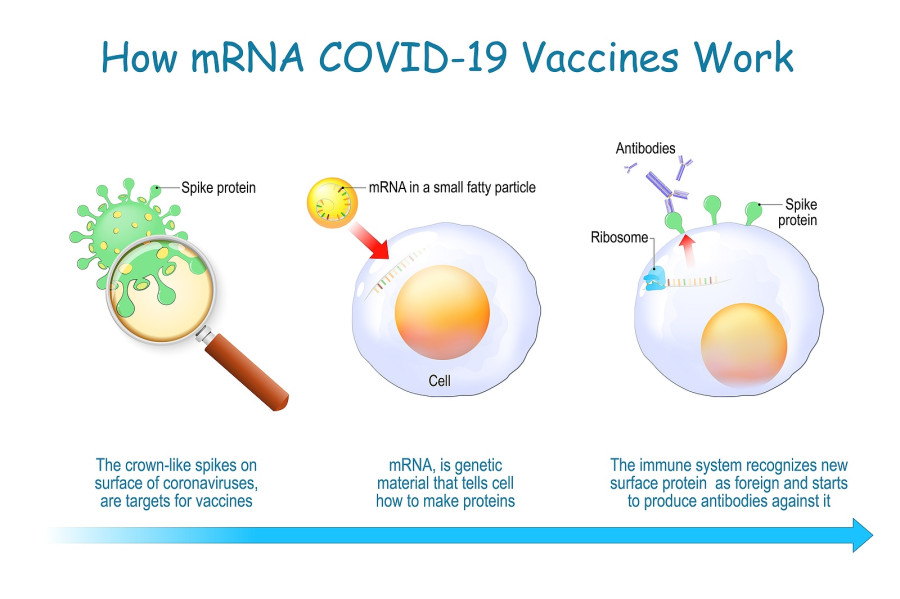 Mrna εμβολια