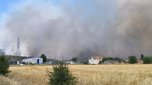 pyrk-kalapodi001-600x338.jpg