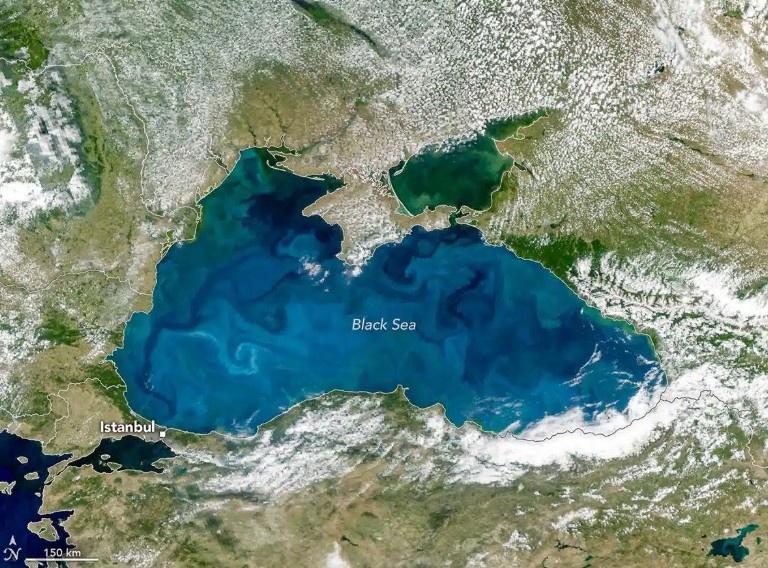 screenshot-2026-07-01-084738.jpg