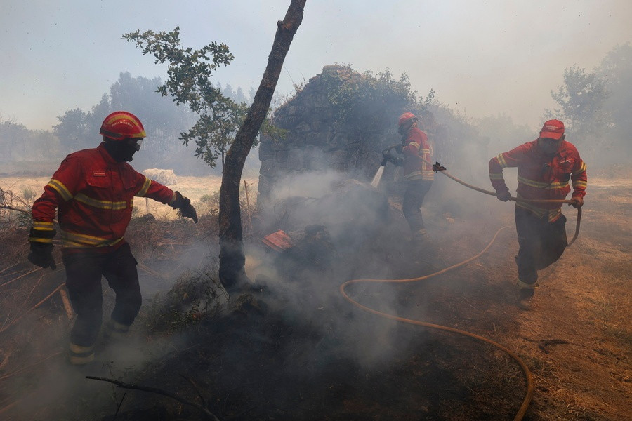 Forest fire in Vouzela