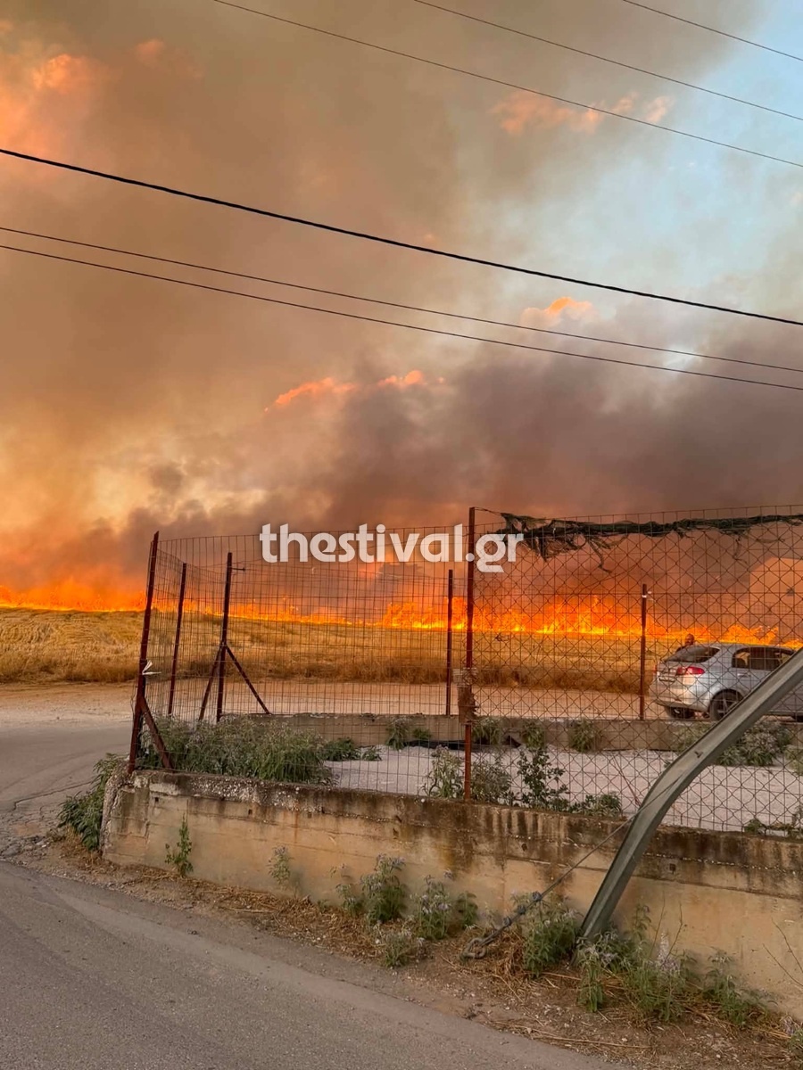 fotia-oraiokastro1.jpg