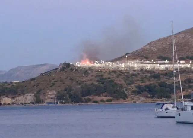 fwtia-1.jpg