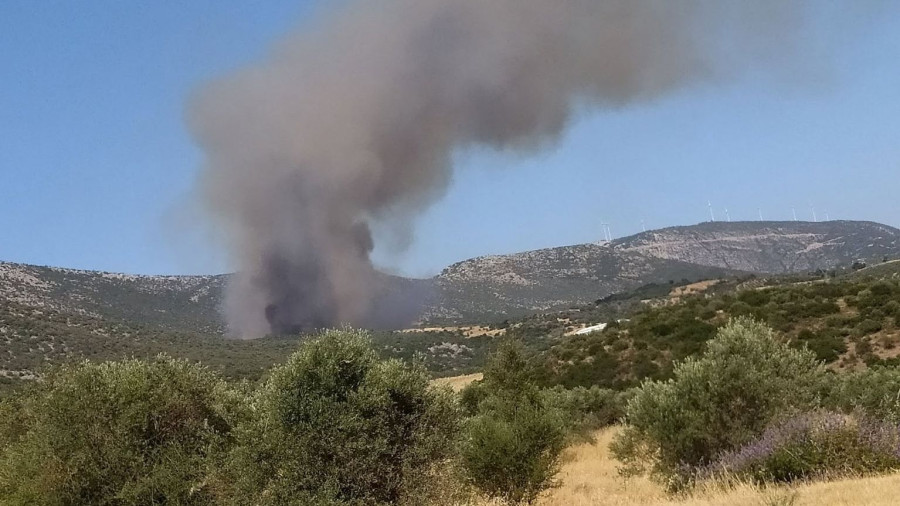 fwtia-argolida.jpg