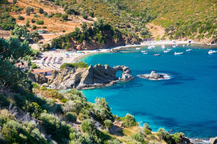 kalamos-evoia.jpg