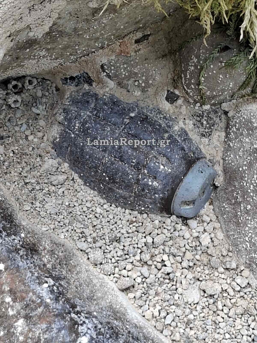 amflikleia1.jpg