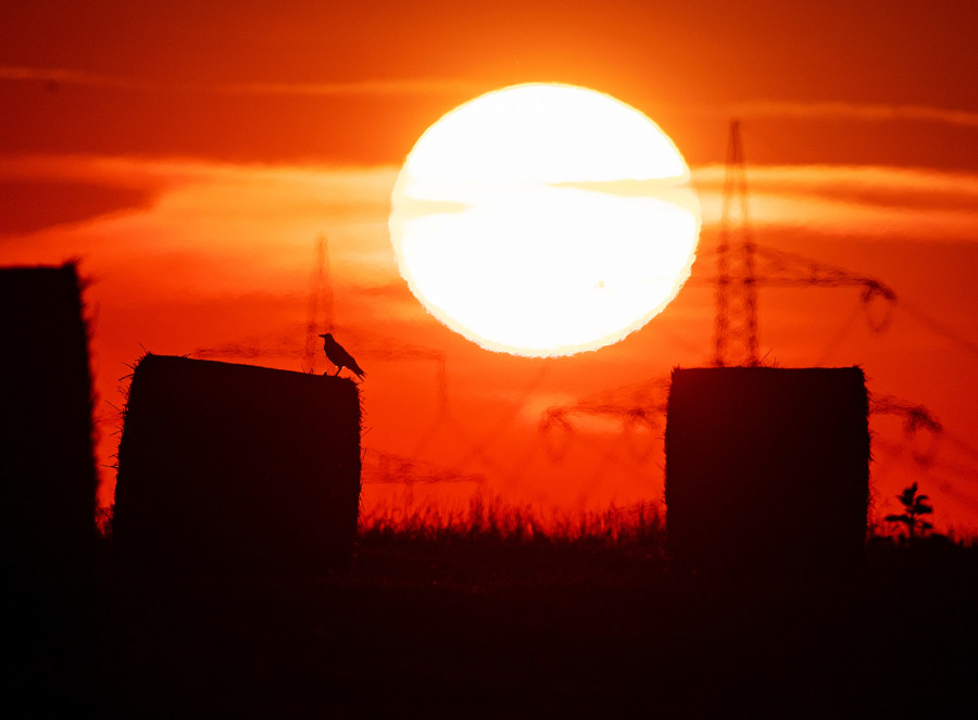 Germany Europe Heatwave