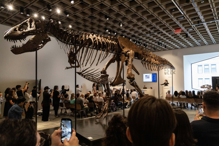 trex.jpg