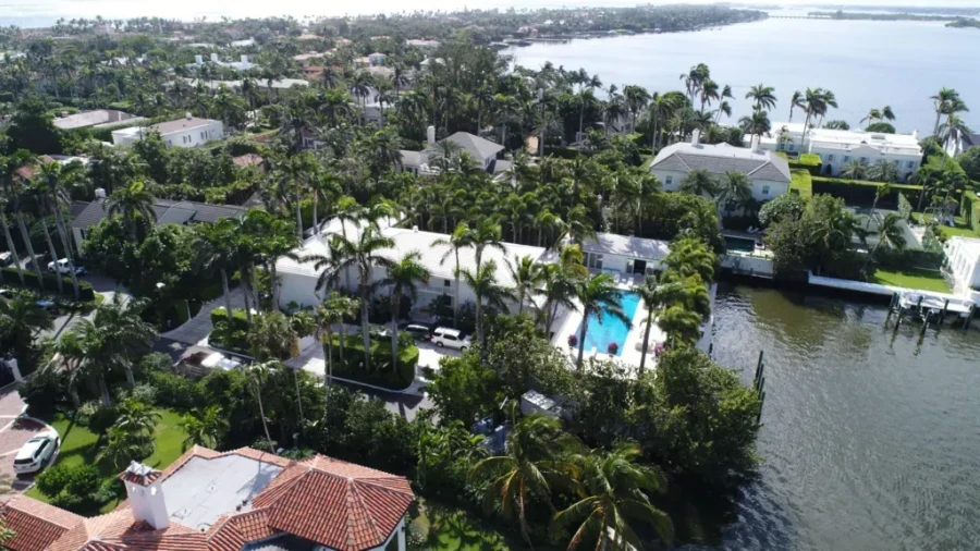 palmbeach.webp