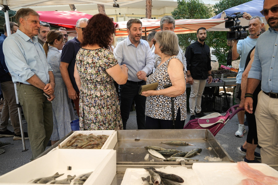 Νίκος Ανδρουλάκης