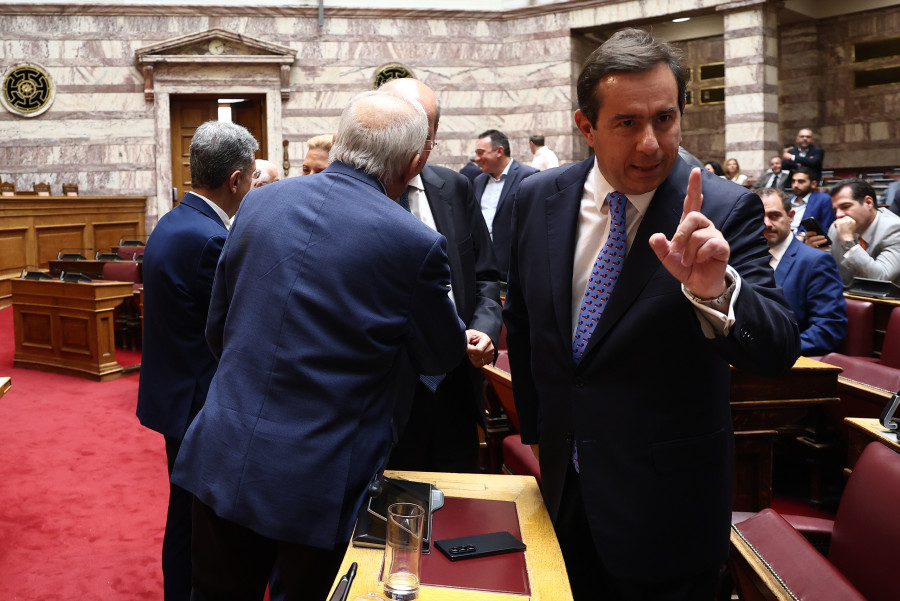 Μηταράκης Βουλή