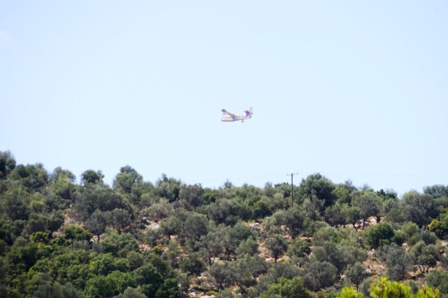 fotia-adami-10.jpg