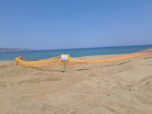 ammoudara-zimia2.jpg