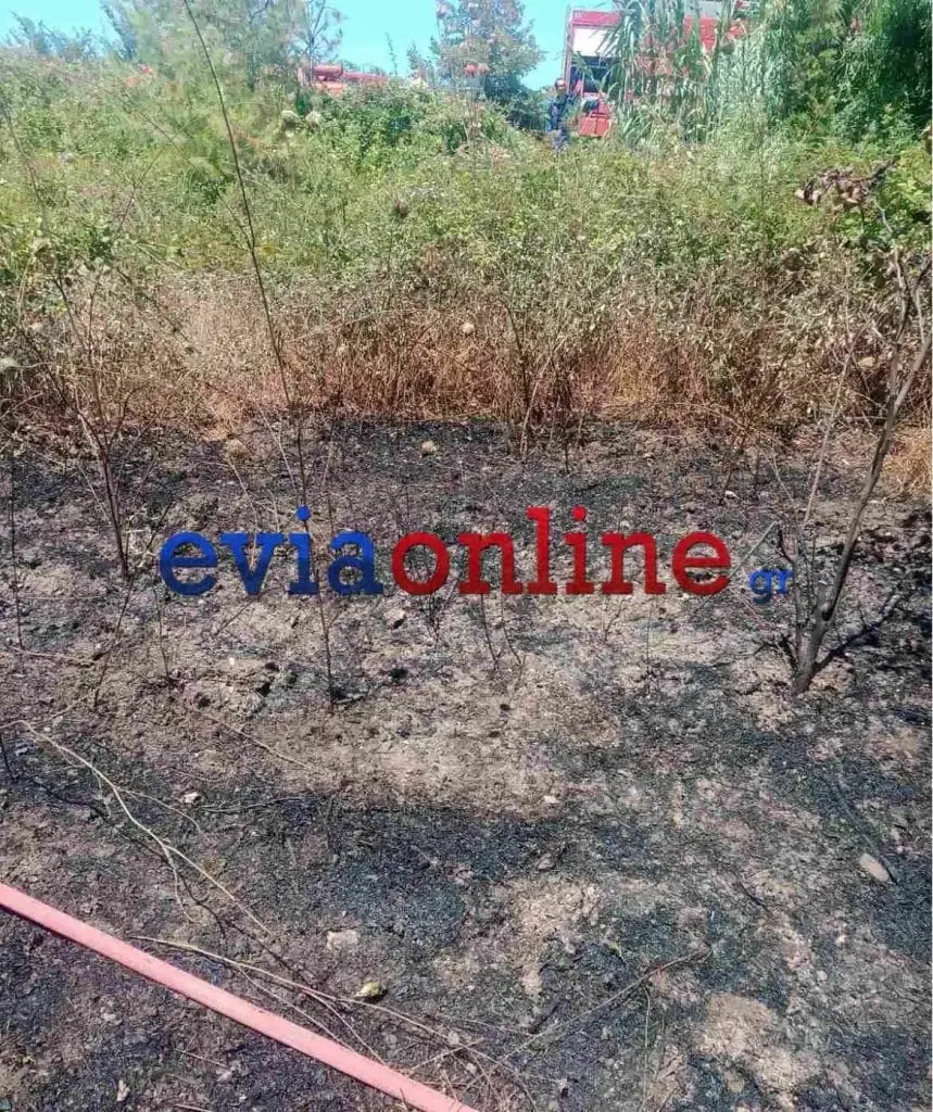 eyboia-fwtia-1.webp